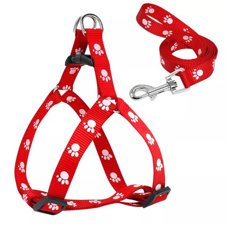 Cute Strap On Harness