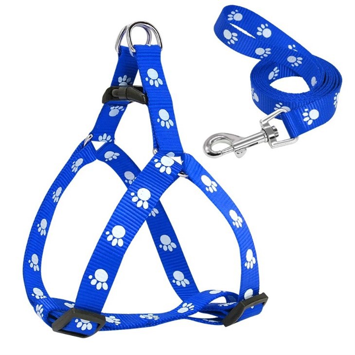 Strap ciwt ar harnais