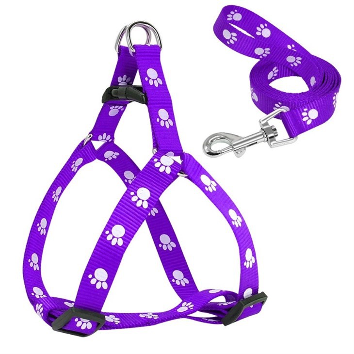 Cute Strap On Harness