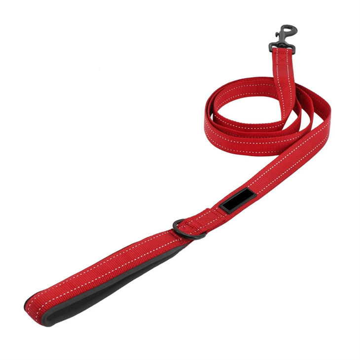 red dog leash